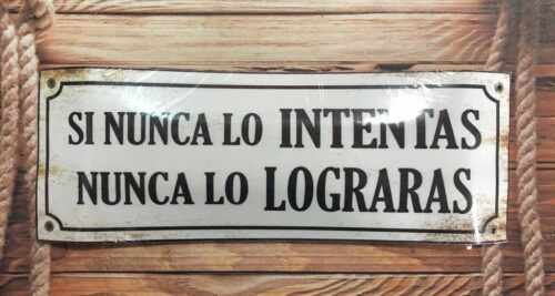 SI NUNCA LO INTENTAS...