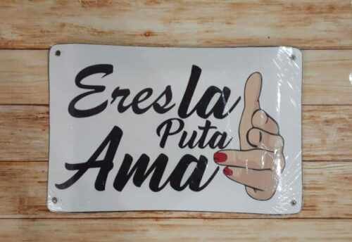 ERES LA PUTA AMA