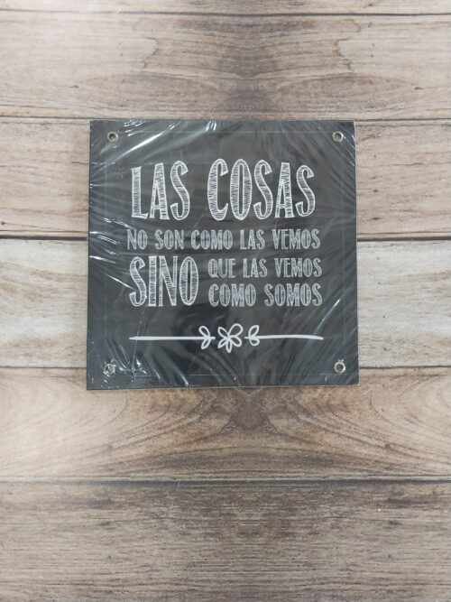 LAS COSAS SON COMO LA VEMOS