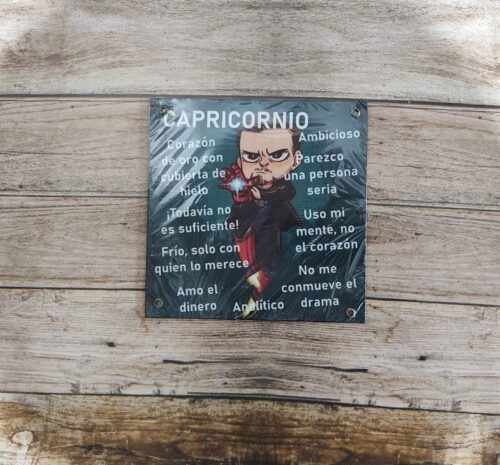 CAPRICORNIO