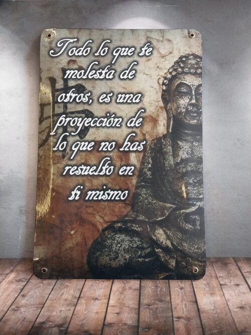 BUDA 11