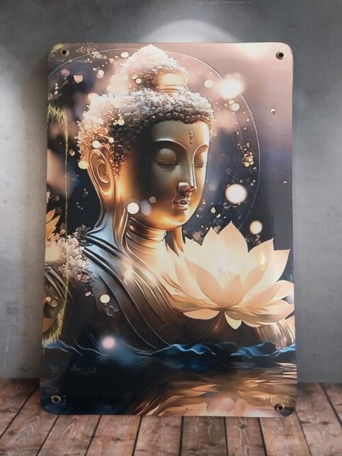 BUDA 8