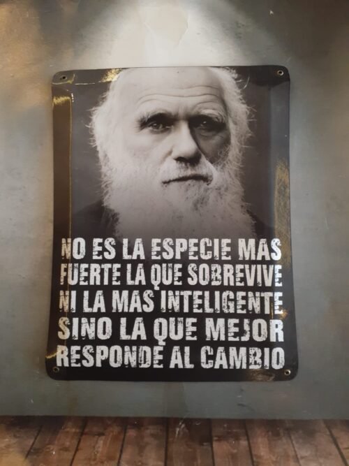 NO ES LA ESPECIE MAS FUERTE