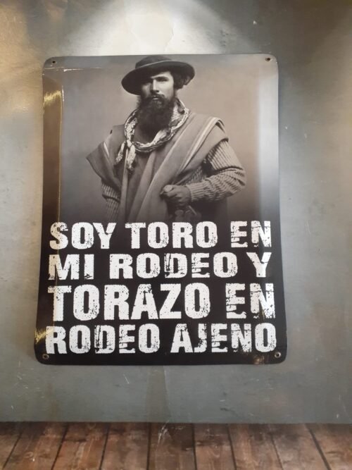 SOY TORO EN MI RODEO......