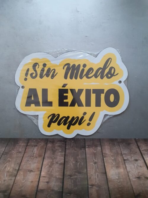 SIN MIEDO AL EXITO PAPI